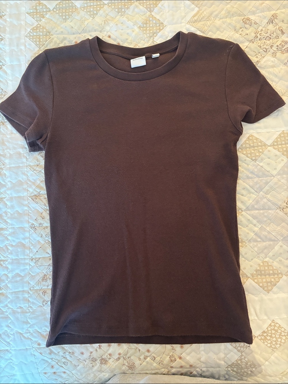 Aritzia Women's Short Sleeve Crewneck Tee in Dark Brown